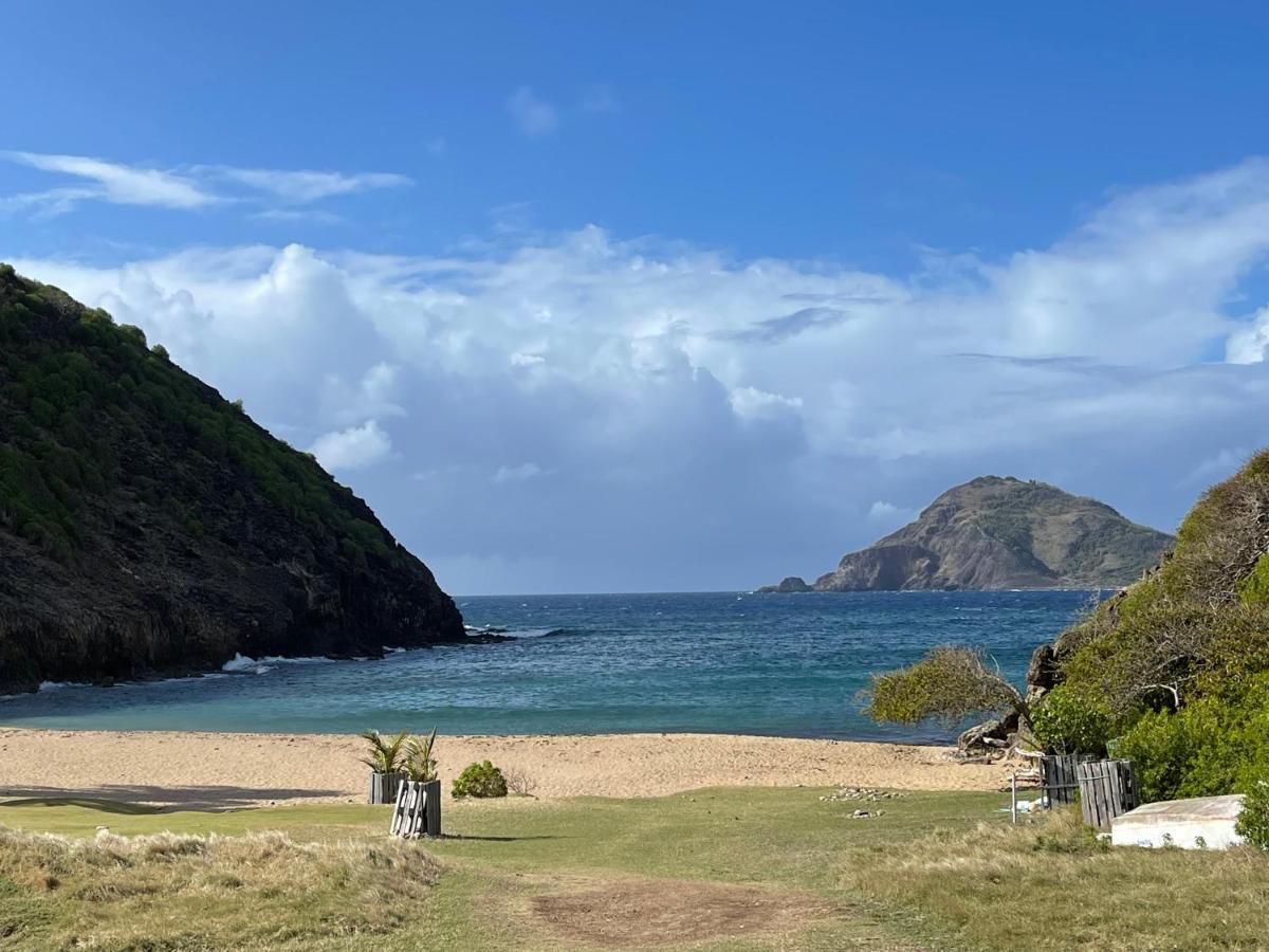 Blue Lagoon, Cottage Les Pieds Dans L Eau Terre-De-Haut Bagian luar foto