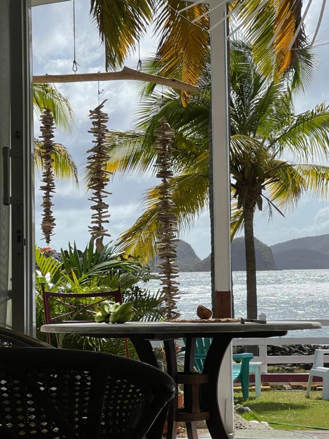 Blue Lagoon, Cottage Les Pieds Dans L Eau Terre-De-Haut Bagian luar foto